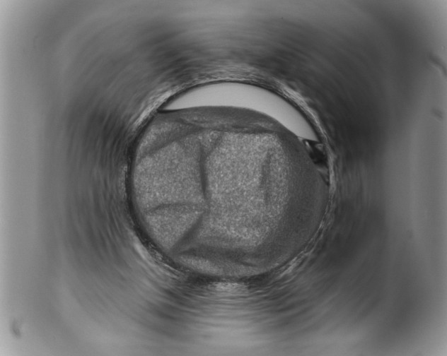 X0000099530154200806131135