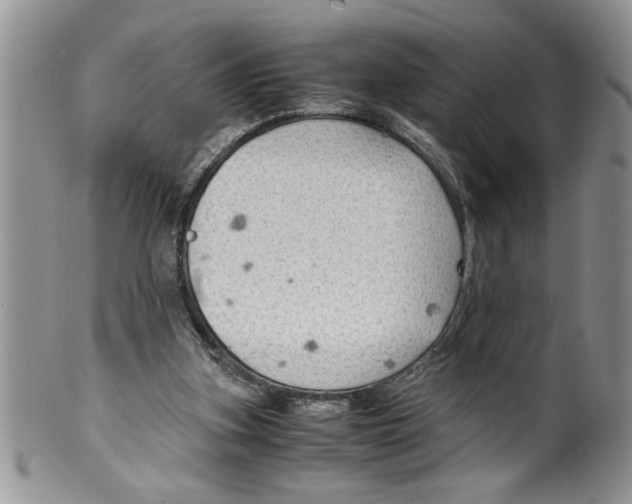 X0000099530155200806131135