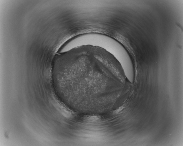 X0000099530156200806131135