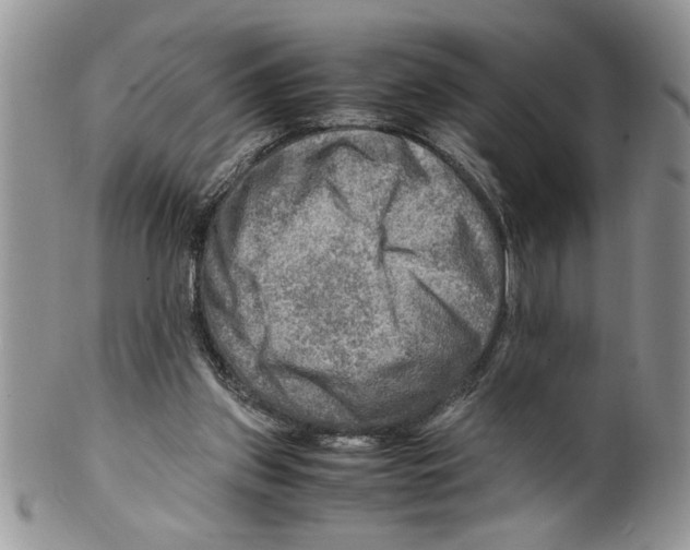 X0000099530157200806131135