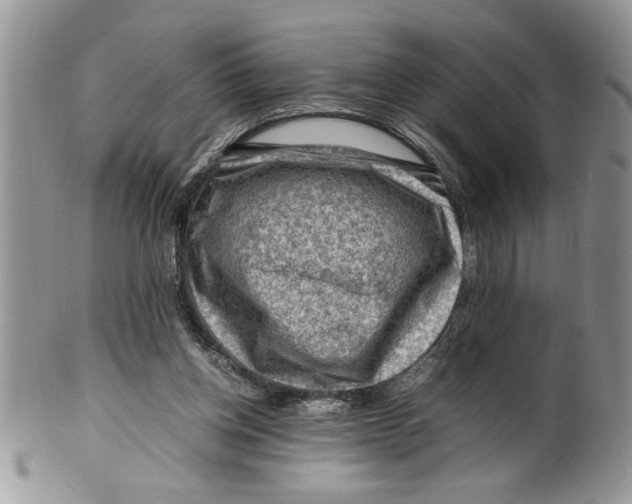 X0000099530158200806131135