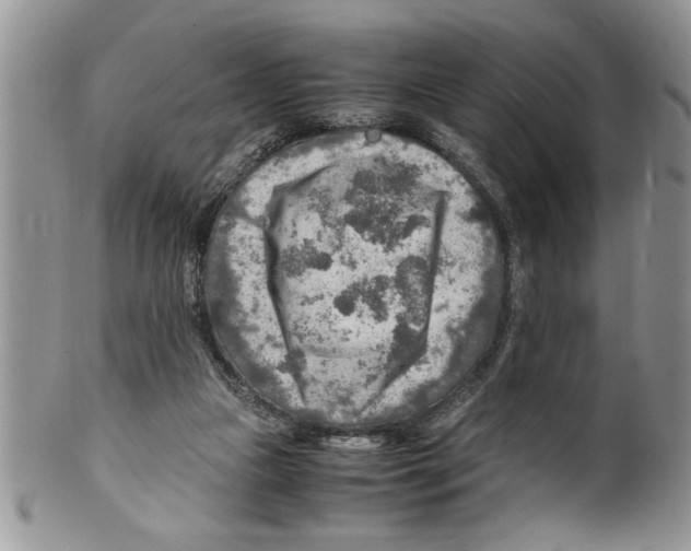 X0000099530161200806131135