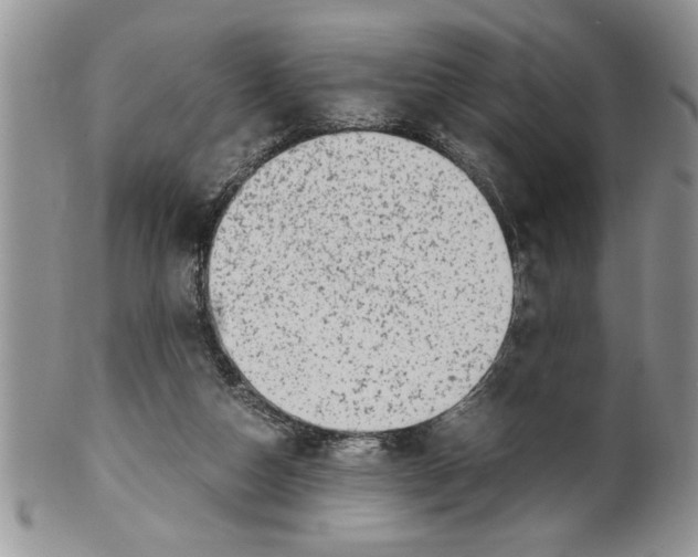 X0000099530162200806131135