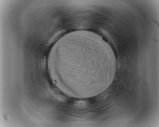 X0000099530163200806131135