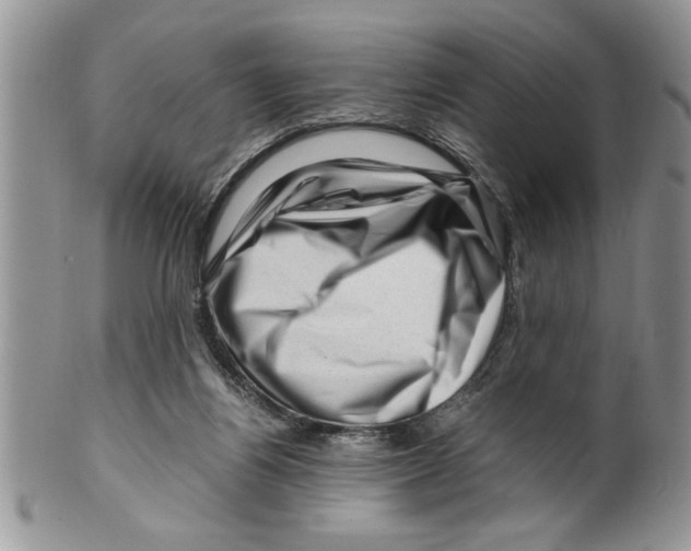 X0000099530164200806131135