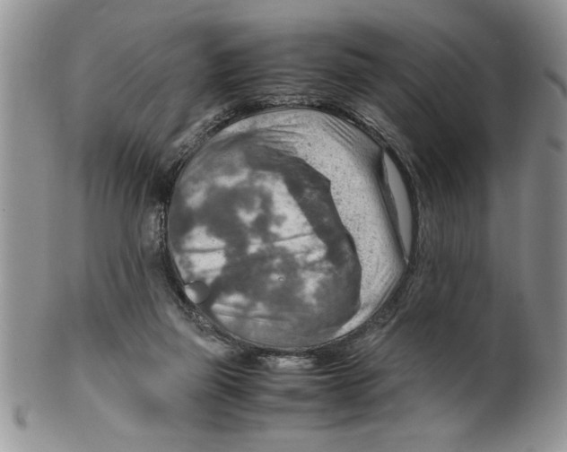 X0000099530165200806131135