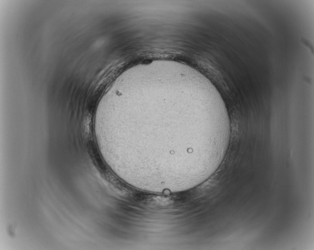 X0000099530166200806131135