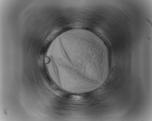 X0000099530167200806131135