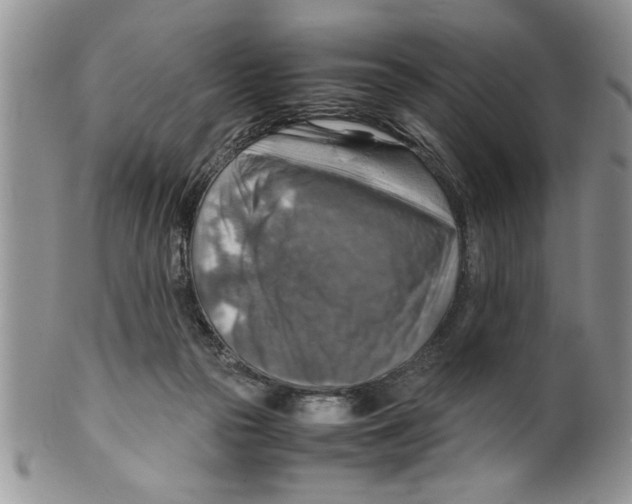 X0000099530169200806131135