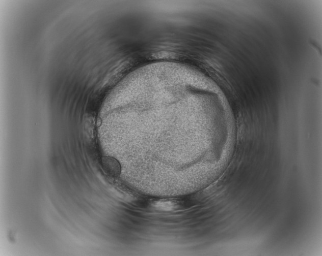 X0000099530171200806131135