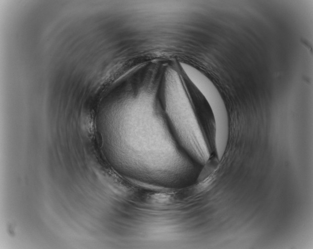 X0000099530176200806131135