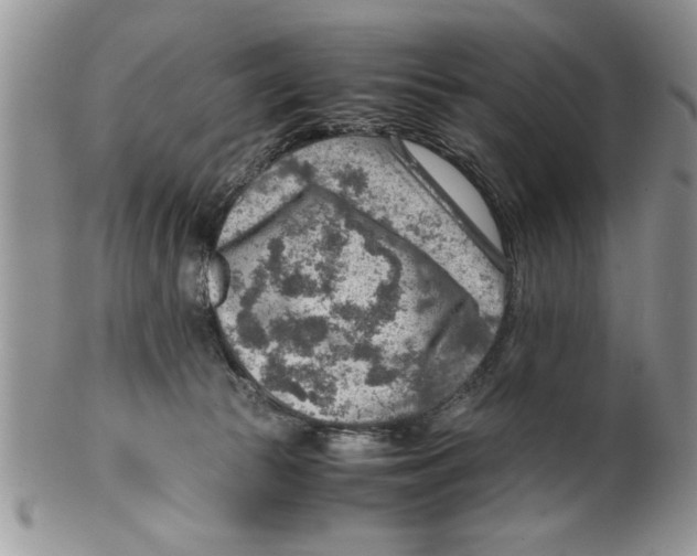 X0000099530177200806131135