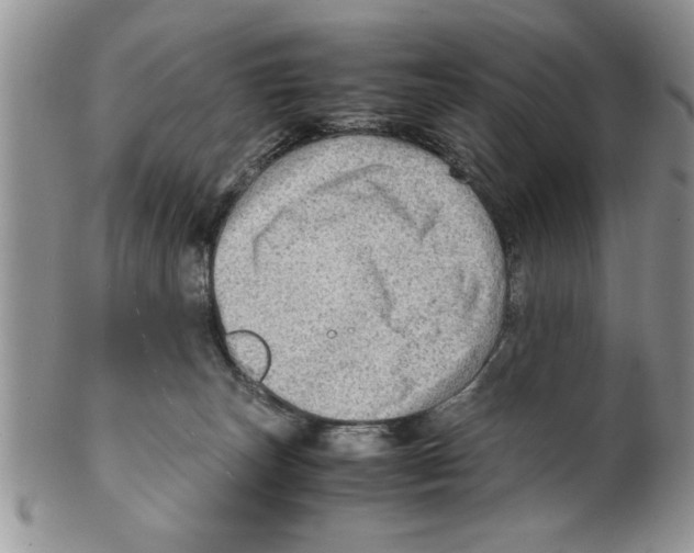 X0000099530179200806131135