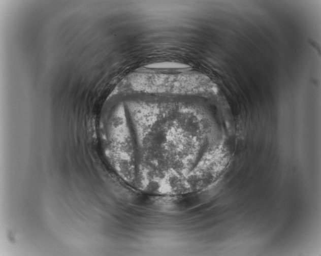 X0000099530182200806131135