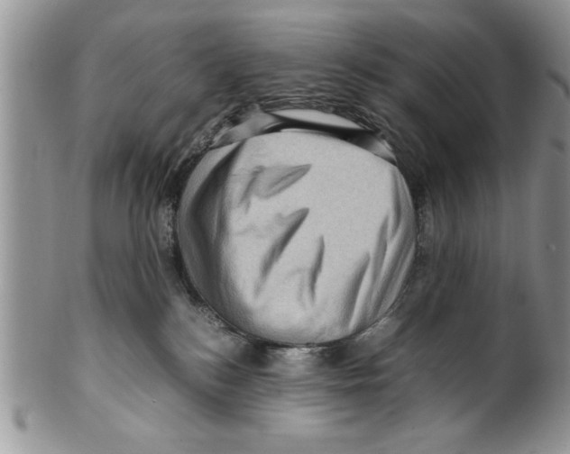 X0000099530184200806131135