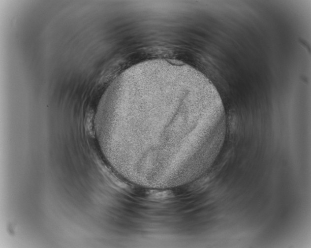 X0000099530185200806131135