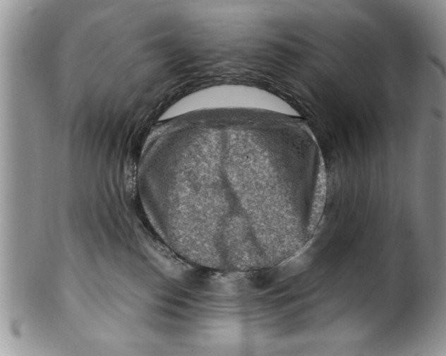 X0000099530186200806131135