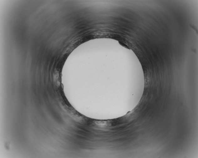 X0000099530187200806131135