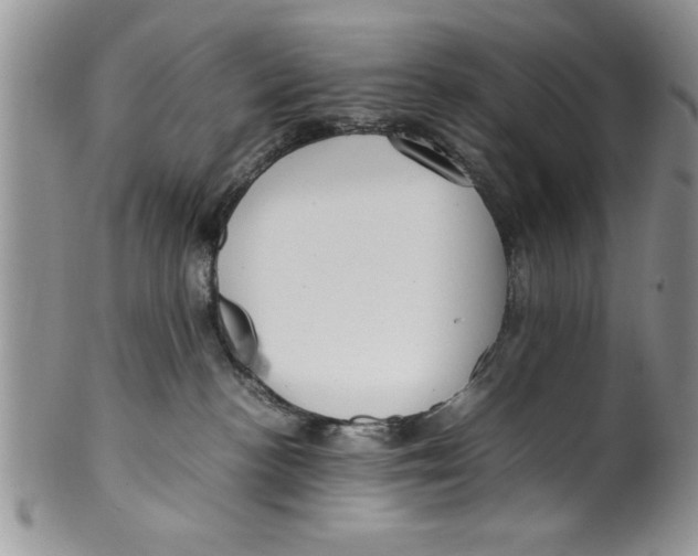 X0000099530188200806131135