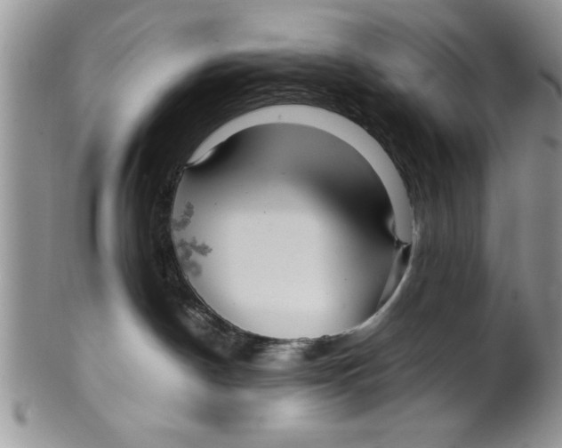 X0000099530190200806131135