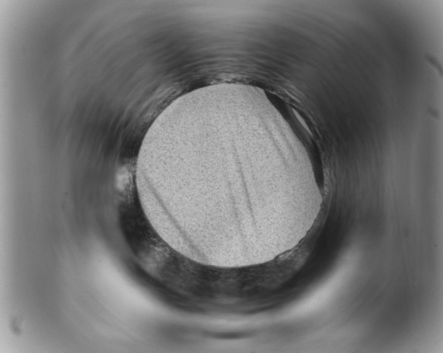 X0000099530191200806131135