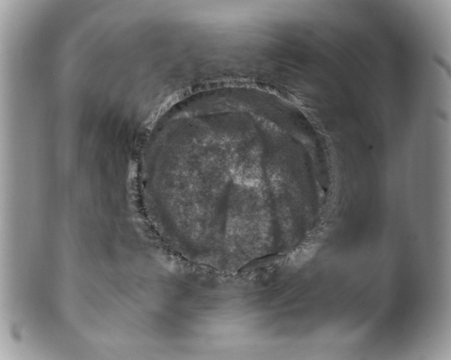 X0000099530192200806131135