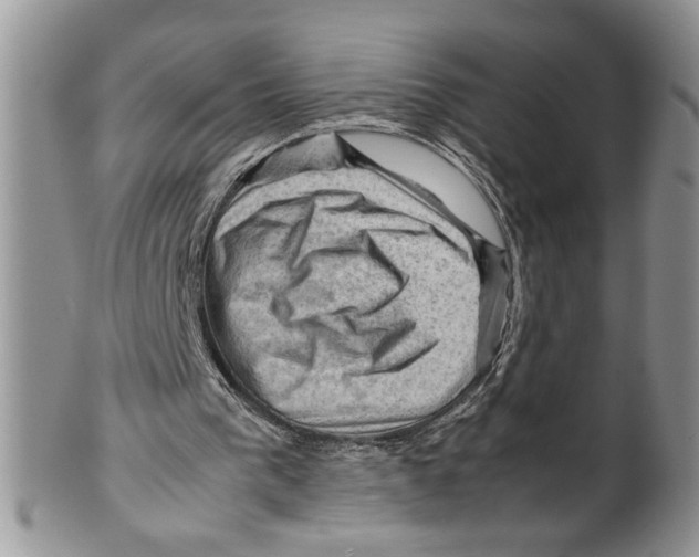 X0000099530193200806131134