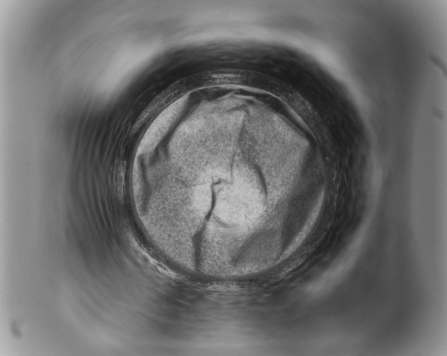 X0000099530194200806131134