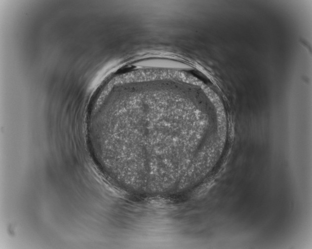 X0000099530199200806131134