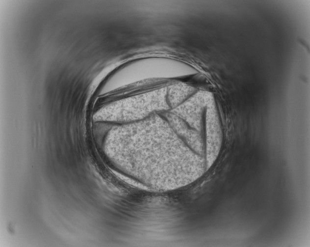 X0000099530200200806131134