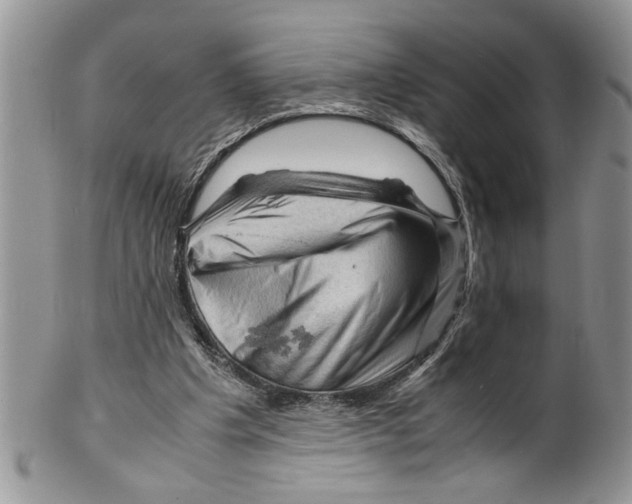 X0000099530201200806131134