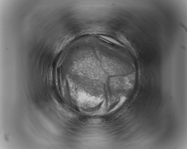 X0000099530202200806131134