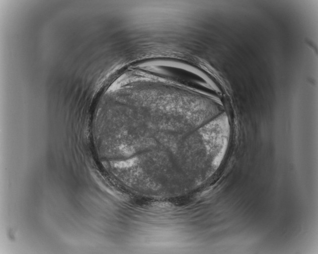 X0000099530203200806131134