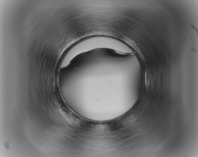 X0000099530204200806131134