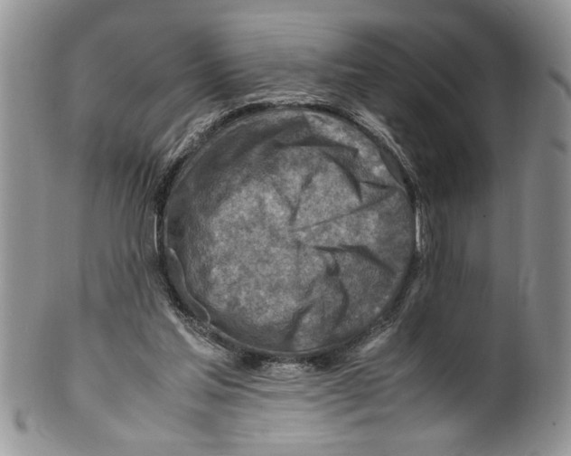 X0000099530205200806131134