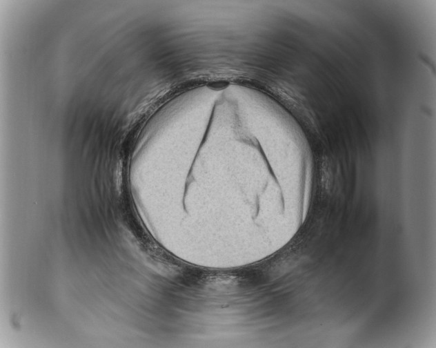 X0000099530206200806131134