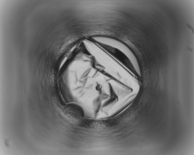 X0000099530207200806131134