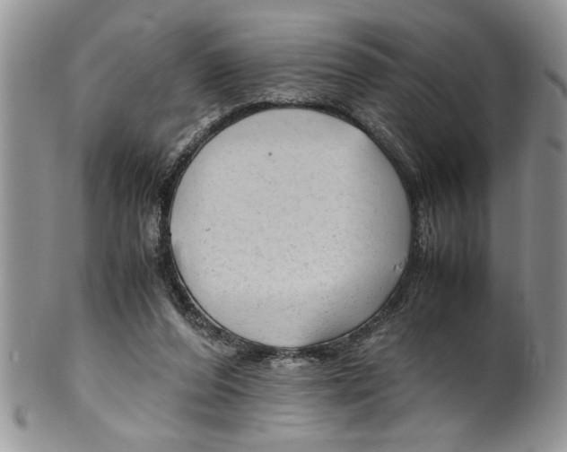 X0000099530208200806131134