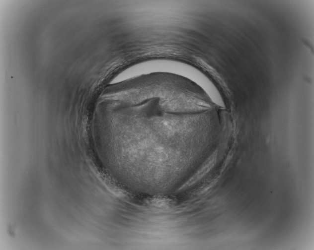 X0000099530209200806131134