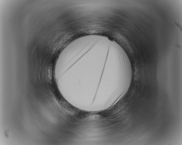 X0000099530210200806131134