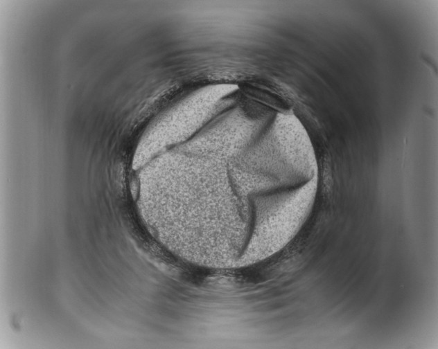 X0000099530211200806131134