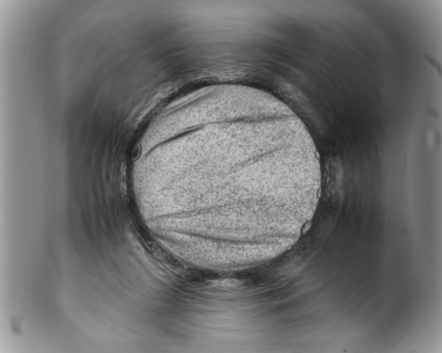 X0000099530212200806131134