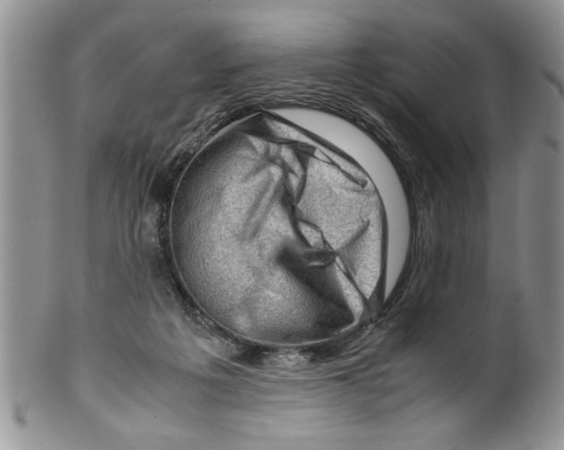 X0000099530217200806131134