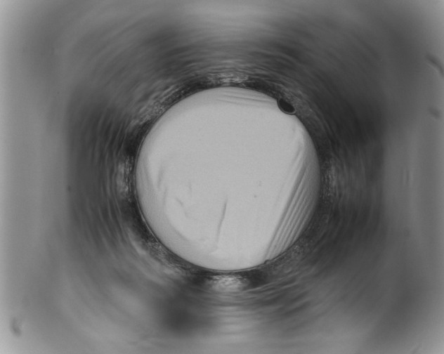 X0000099530218200806131134