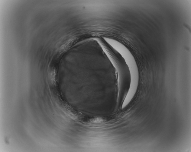 X0000099530219200806131134