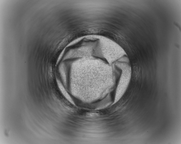 X0000099530220200806131134