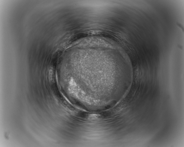 X0000099530222200806131134