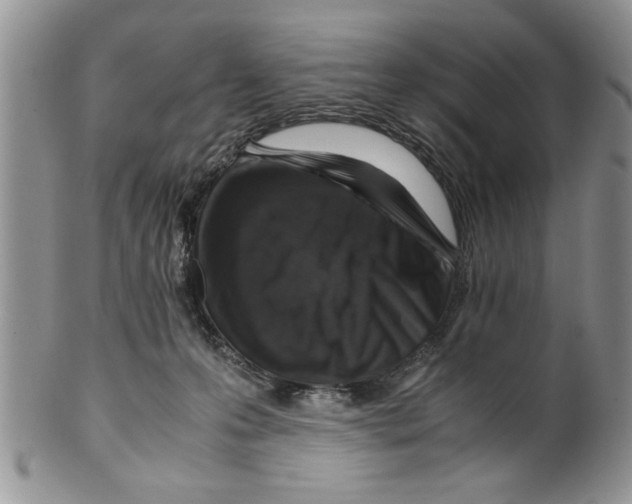 X0000099530223200806131134