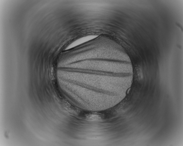 X0000099530224200806131134