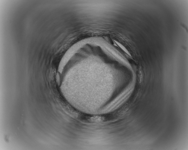 X0000099530225200806131134